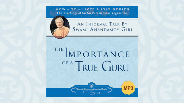 The Devotee Who Perceives God in All Things by Swami Anandamoy Giri